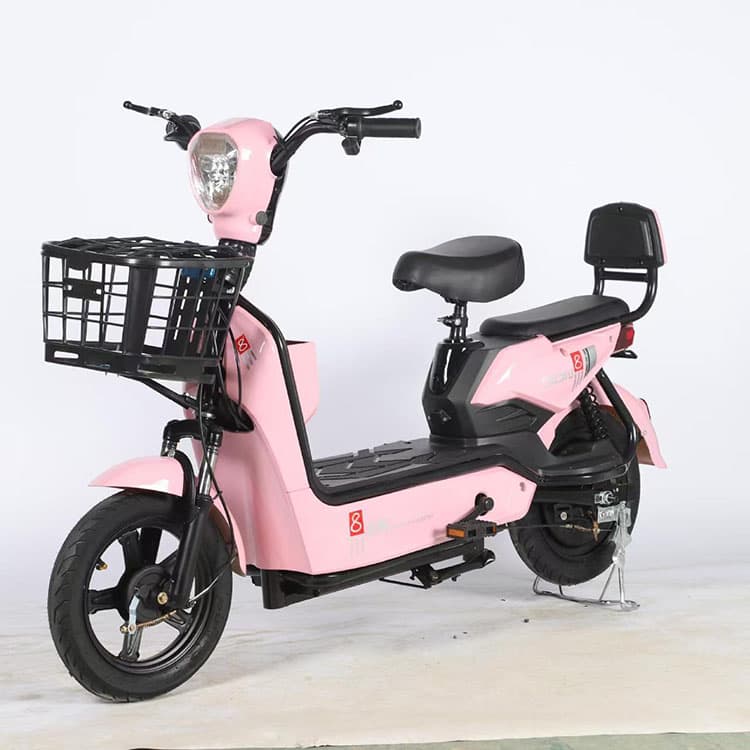 Light Weight Electric Bike 48V Lead Acid Battery JY01