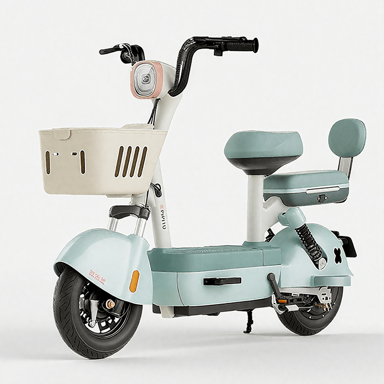 Light Weight Electric Bike 48V Lead Acid Battery JY03