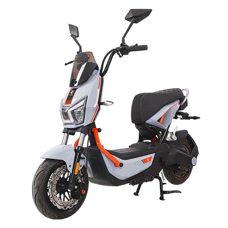 Light Weight E-Bike 800W JY13
