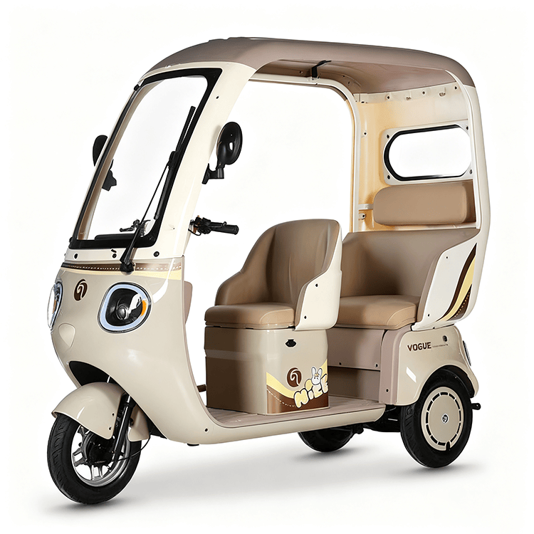 New Electric Tricycle with Built-in Canopy JY28